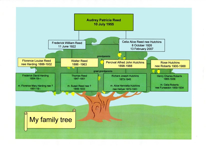 družinsko drevo