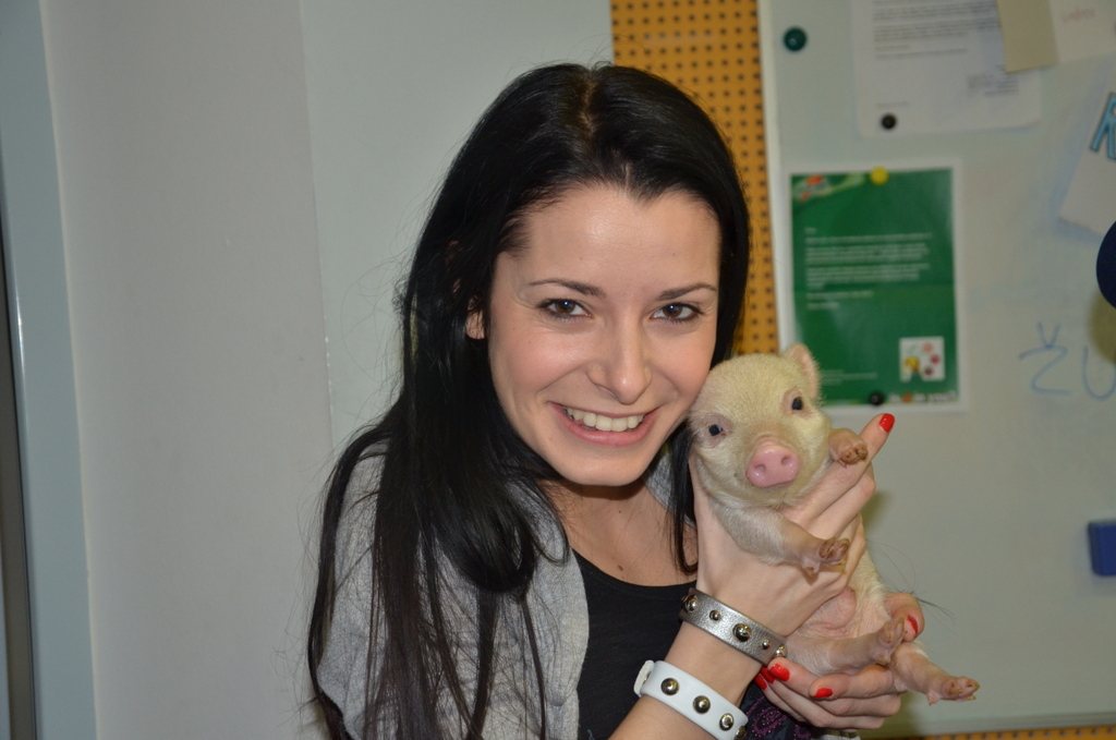 Jana in trije prašički