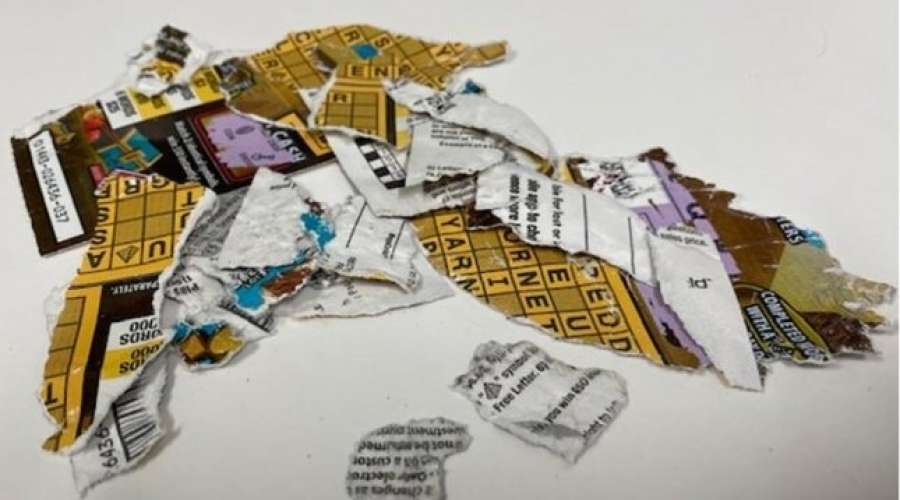 Oregon-couples-winning-lottery-ticket-shredded-by-dogs