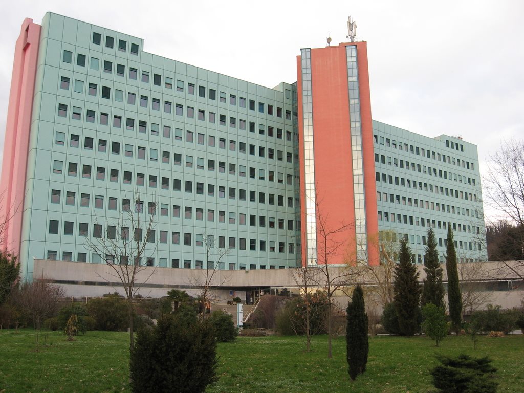  Šempeterska bolnišnica