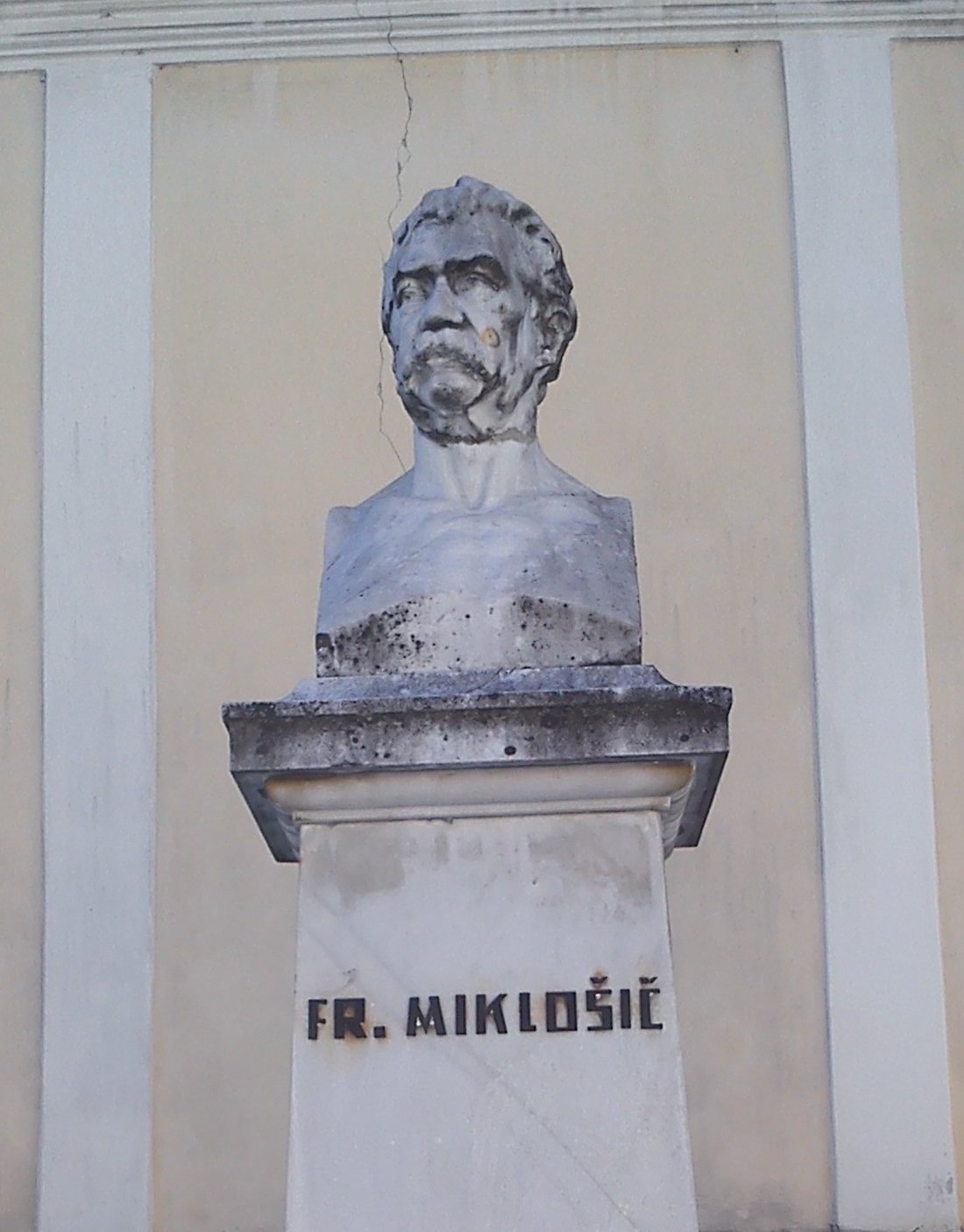 Prevedli bodo Miklošiča