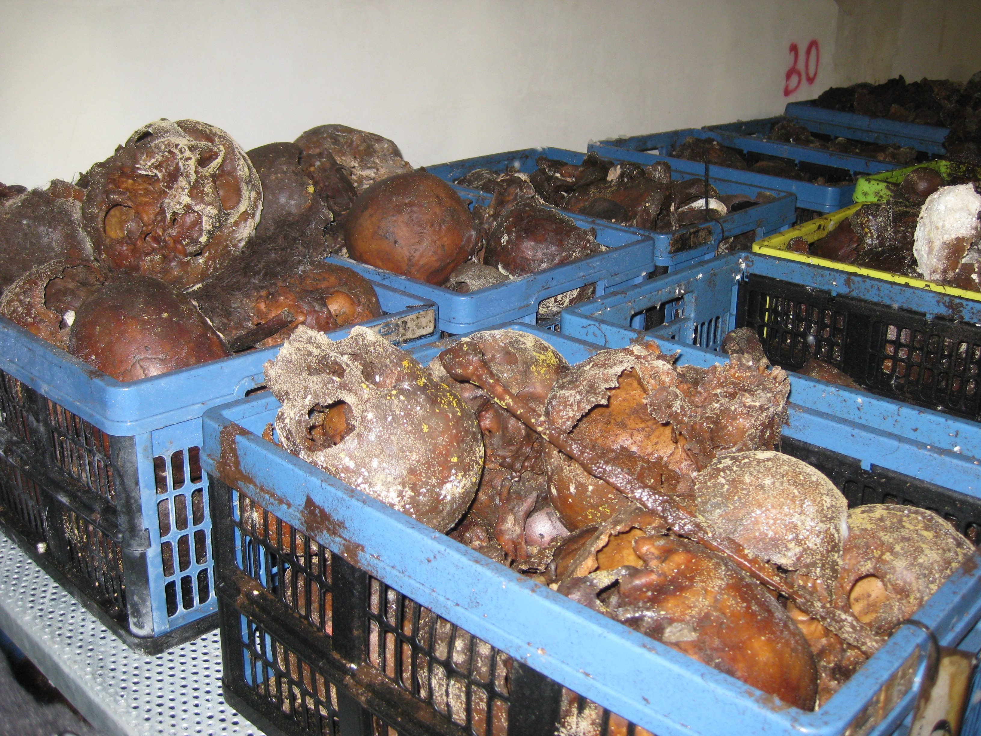 Pokop žrtev iz Hude jame