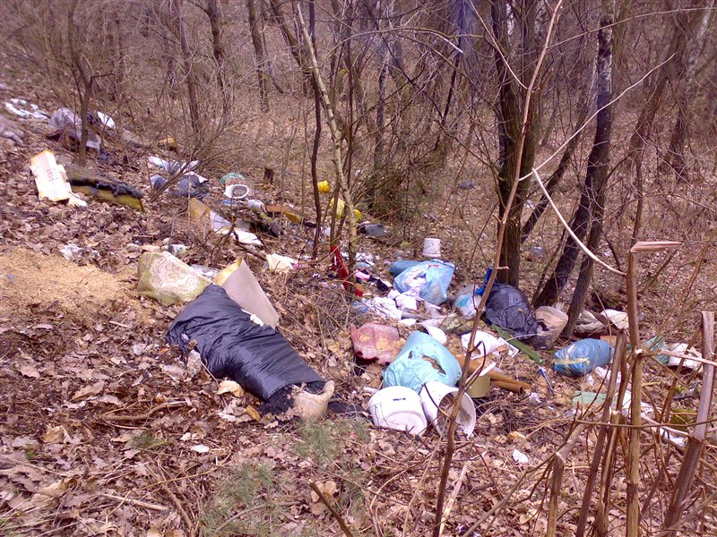 Čistijo tudi v Celju