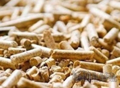 Kotlovnica v Borovnici