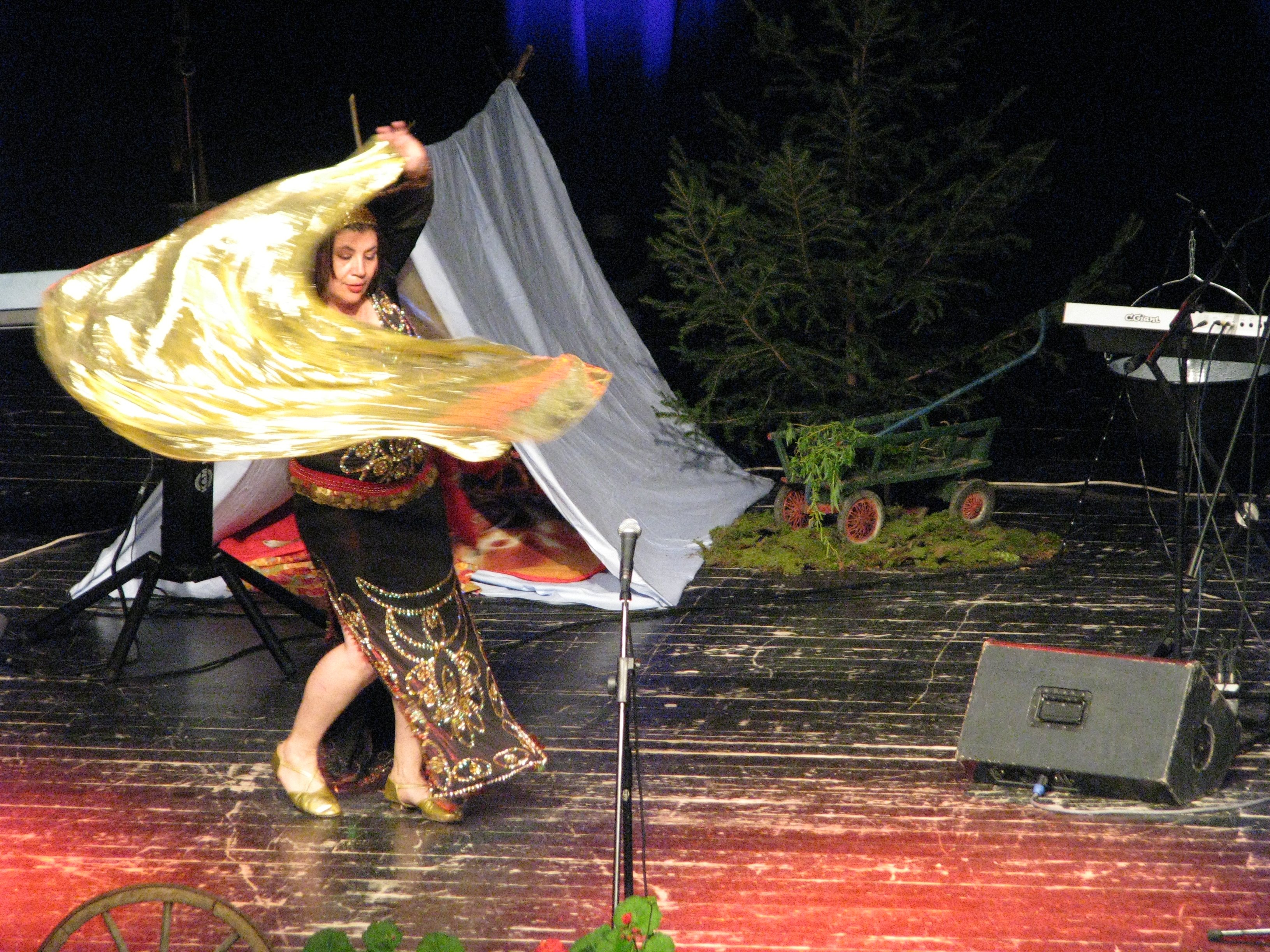 Slovenski Romi