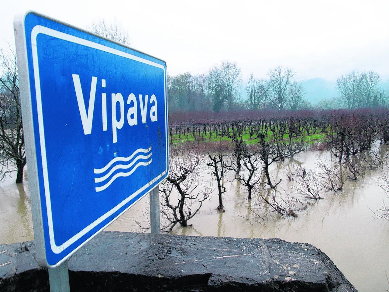  Reka Vipava