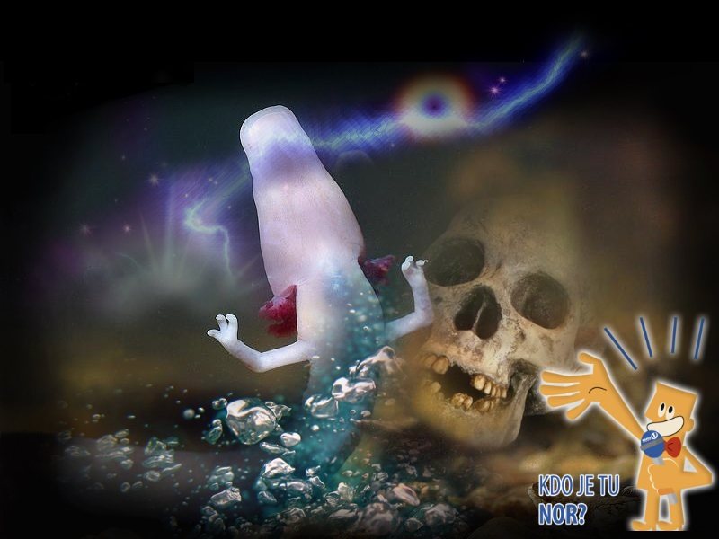 KAKO SE UBRANIŠ ČLOVEŠKE RIBICE?