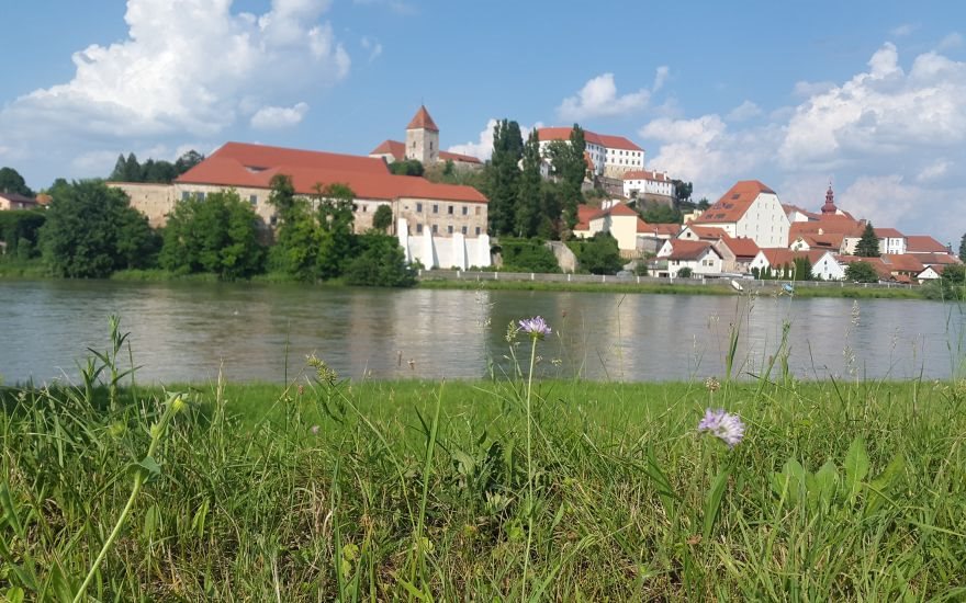 Na Ptuju predstavili zasnovo zelenega sistema mestnega središča
